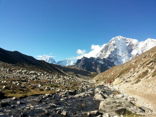 A stream en route to Thengbouche