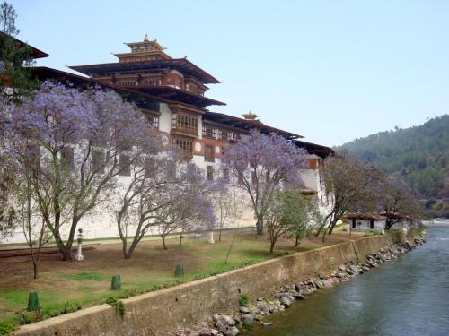 Punakha Dzong