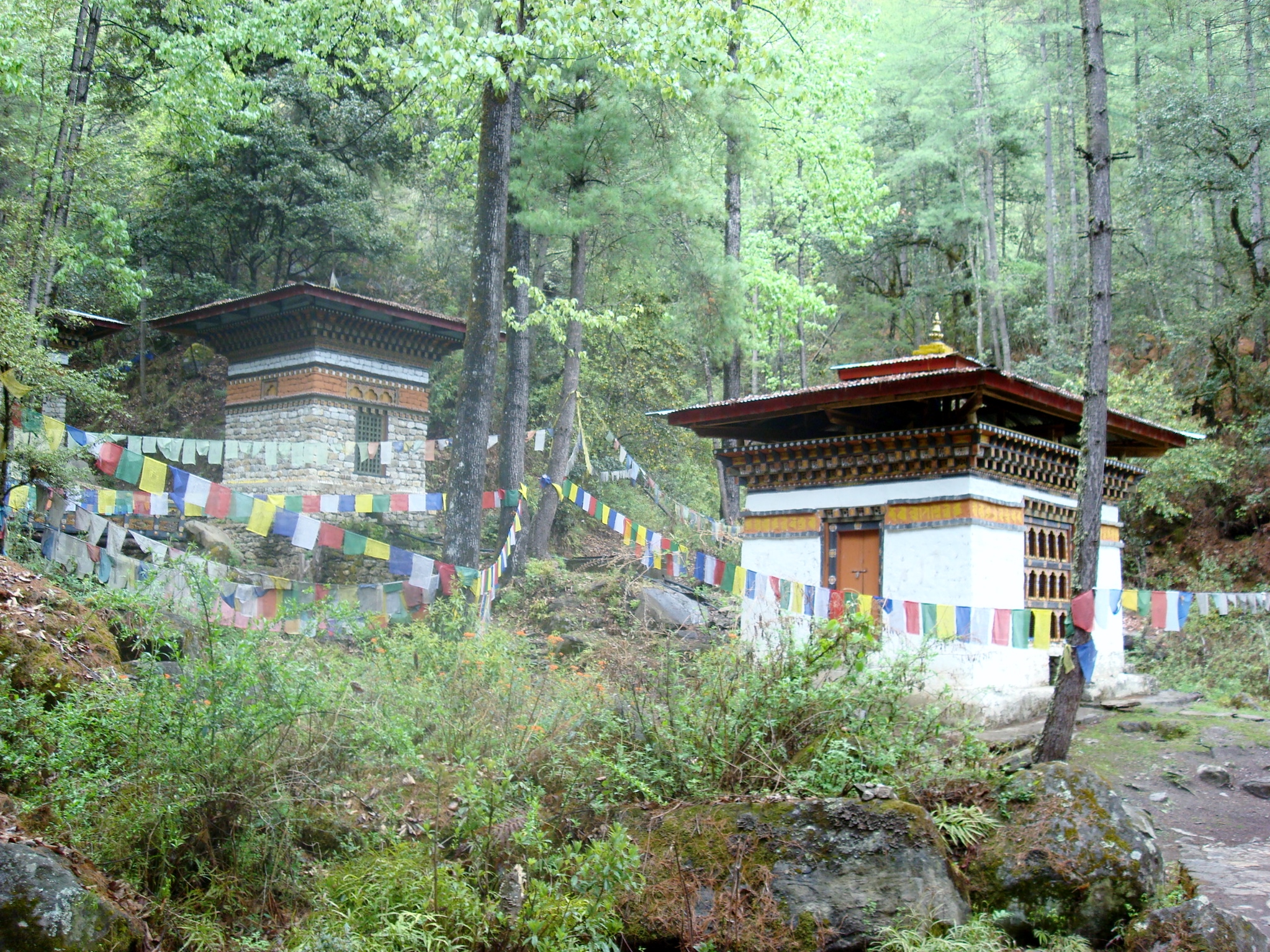 Bhutan: Travelling in the land of Thunder Dragon: Taktsang