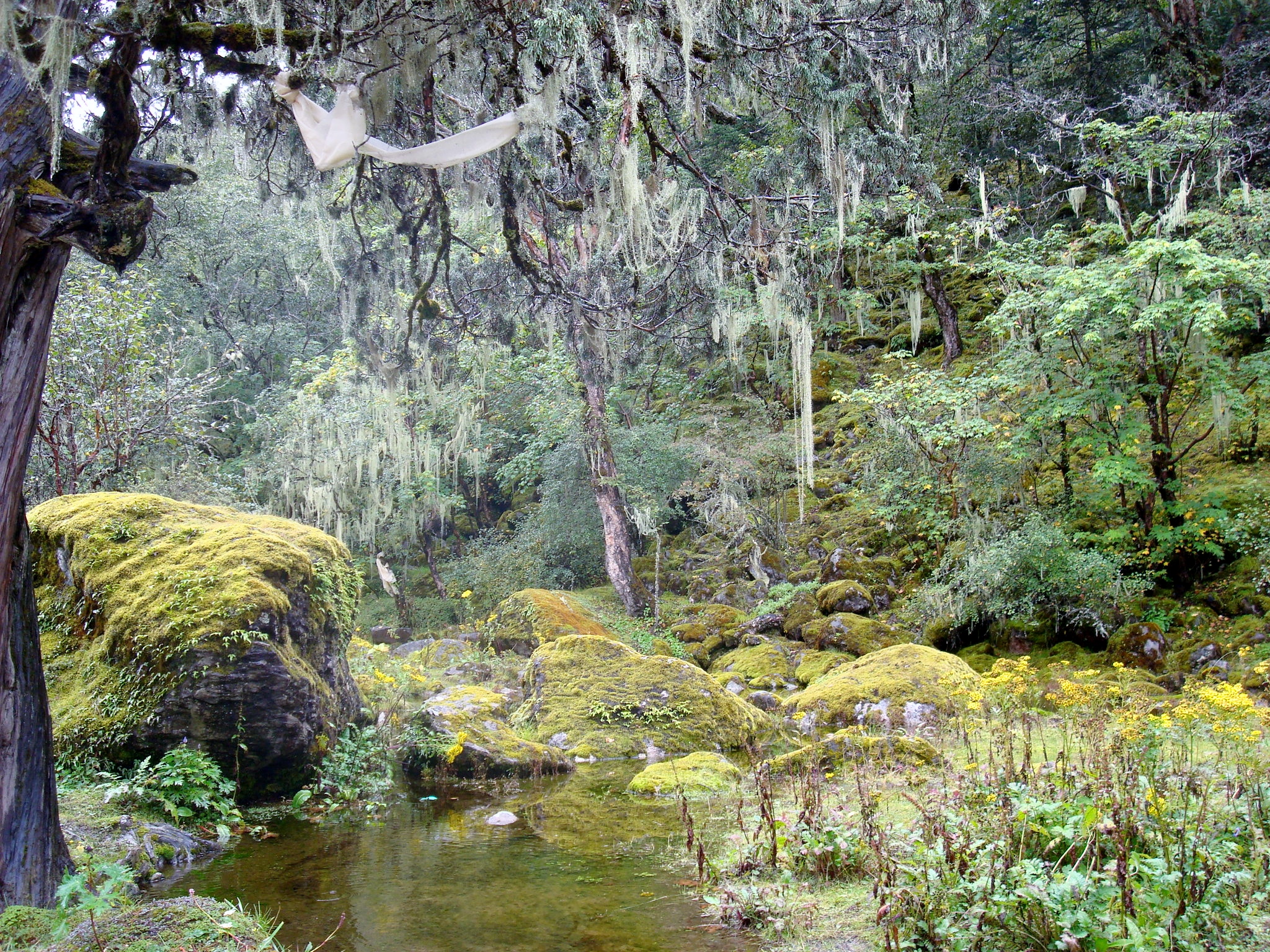 Everest base camp – The base to the top of the world: Namche to Thengbouche (3867m)